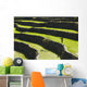 A Farmer Walks Along The Famous Rice Terraces Wall Mural