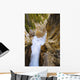 Artist's Choice: Panther Falls, Banff National Park, Alberta Wall Mural
