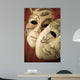 two masks Wall Mural