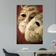 two masks Wall Mural