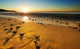 Beach Sunset Wall Mural