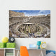 Tourists at the Colosseum Wall Mural