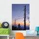 Dead Trees And Moon At Dusk From Clingmans Dome Wall Mural