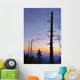 Dead Trees And Moon At Dusk From Clingmans Dome Wall Mural