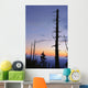 Dead Trees And Moon At Dusk From Clingmans Dome Wall Mural