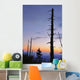 Dead Trees And Moon At Dusk From Clingmans Dome Wall Mural