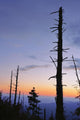 Dead Trees And Moon At Dusk From Clingmans Dome Wall Mural