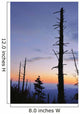 Dead Trees And Moon At Dusk From Clingmans Dome Wall Mural