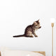 Adorable Cat Wall Decal