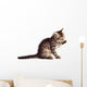 Adorable Cat Wall Decal