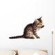 Adorable Cat Wall Decal