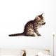 Adorable Cat Wall Decal