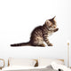 Adorable Cat Wall Decal