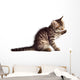 Adorable Cat Wall Decal
