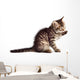 Adorable Cat Wall Decal