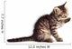 Adorable Cat Wall Decal