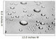 Light Rain Stainless Steel
