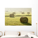 Artist's Choice Wall Mural