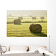 Artist's Choice Wall Mural