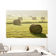 Artist's Choice Wall Mural