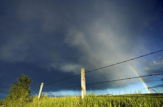 Storm Clouds And Rainbow, Southern Alberta, Canada Wall Mural