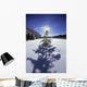 Rampart Ponds In Winter, Banff National Park, Alberta, Canada Wall Mural