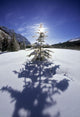 Rampart Ponds In Winter, Banff National Park, Alberta, Canada Wall Mural