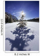 Rampart Ponds In Winter, Banff National Park, Alberta, Canada Wall Mural