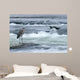Great Blue Heron Hunting In A River, Coteau-Du-Lac, Quebec, Canada Wall Mural