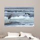 Great Blue Heron Hunting In A River, Coteau-Du-Lac, Quebec, Canada Wall Mural