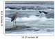 Great Blue Heron Hunting In A River, Coteau-Du-Lac, Quebec, Canada Wall Mural