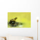 Green Frog Perched On Mud And Leaves, Vaudreuil, Quebec, Canada Wall Mural