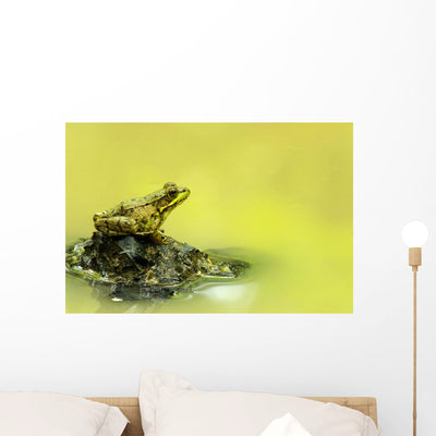 Green Frog Perched Mud Wall Mural shown on a wall