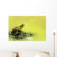 Green Frog Perched On Mud And Leaves, Vaudreuil, Quebec, Canada Wall Mural