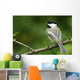 Black-Capped Chickadee, Les Cedres, Quebec, Canada Wall Mural