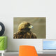 Golden Eagle In Ecomuseum Zoo, Ste-Anne-De-Bellevue, Quebec, Canada Wall Mural