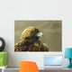 Golden Eagle In Ecomuseum Zoo, Ste-Anne-De-Bellevue, Quebec, Canada Wall Mural