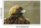 Golden Eagle In Ecomuseum Zoo, Ste-Anne-De-Bellevue, Quebec, Canada Wall Mural