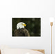 Bald Eagle In Ecomuseum Zoo, Ste-Anne-De-Bellevue, Quebec, Canada Wall Mural