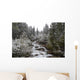 Snowy Foliage Along Stream In Autumn, Banff, Alberta, Canada Wall Mural