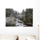 Snowy Foliage Along Stream In Autumn, Banff, Alberta, Canada Wall Mural
