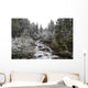 Snowy Foliage Along Stream In Autumn, Banff, Alberta, Canada Wall Mural