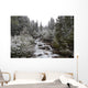 Snowy Foliage Along Stream In Autumn, Banff, Alberta, Canada Wall Mural