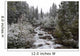 Snowy Foliage Along Stream In Autumn, Banff, Alberta, Canada Wall Mural