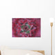 Close-Up, Silver Vase Flower, Aechmea Fasciata, Costa Rica Wall Mural