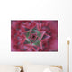Close-Up, Silver Vase Flower, Aechmea Fasciata, Costa Rica Wall Mural