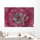 Close-Up, Silver Vase Flower, Aechmea Fasciata, Costa Rica Wall Mural