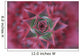 Close-Up, Silver Vase Flower, Aechmea Fasciata, Costa Rica Wall Mural