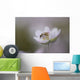Close-Up Of Wasp Pollinating Eastern Spring Beauty Flower Wall Mural