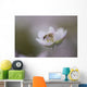 Close-Up Of Wasp Pollinating Eastern Spring Beauty Flower Wall Mural